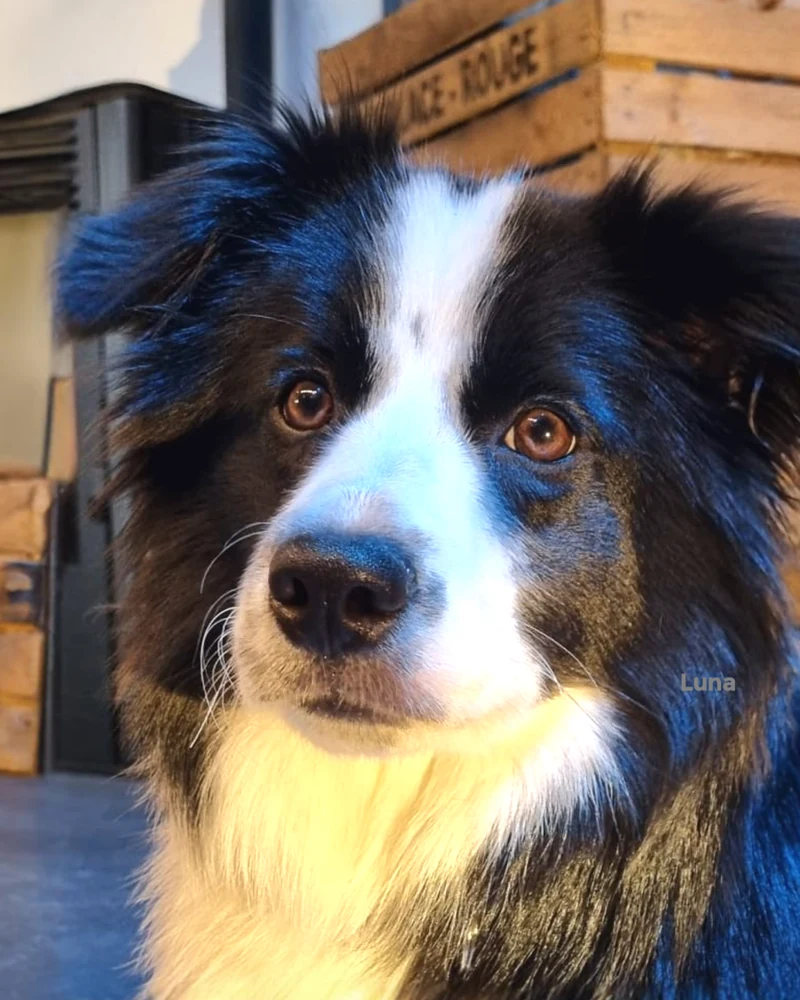 Luna, So-light's Head of Barketing